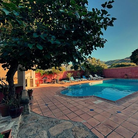 Residence Antonia Appartements Avec Piscine Commune - Centre Ville Calvi Calvi  Esterno foto