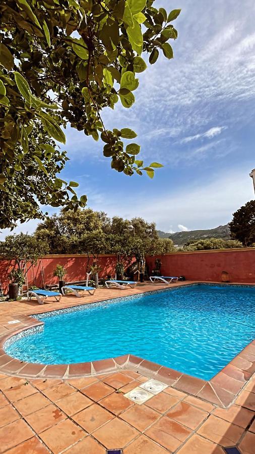 Residence Antonia Appartements Avec Piscine Commune - Centre Ville Calvi Calvi  Esterno foto