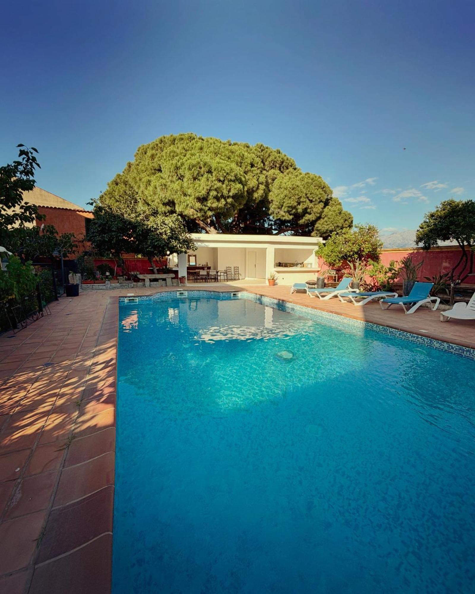 Residence Antonia Appartements Avec Piscine Commune - Centre Ville Calvi Calvi  Esterno foto