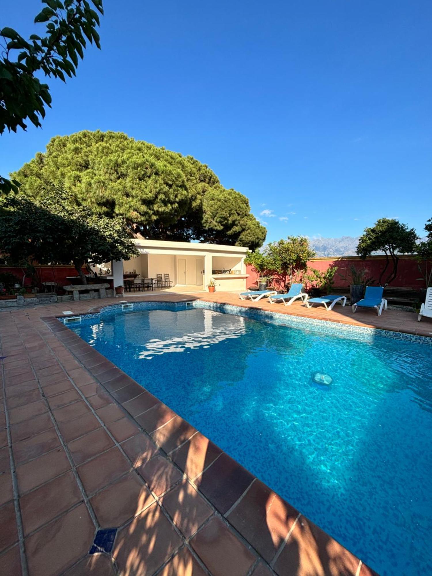 Residence Antonia Appartements Avec Piscine Commune - Centre Ville Calvi Calvi  Esterno foto