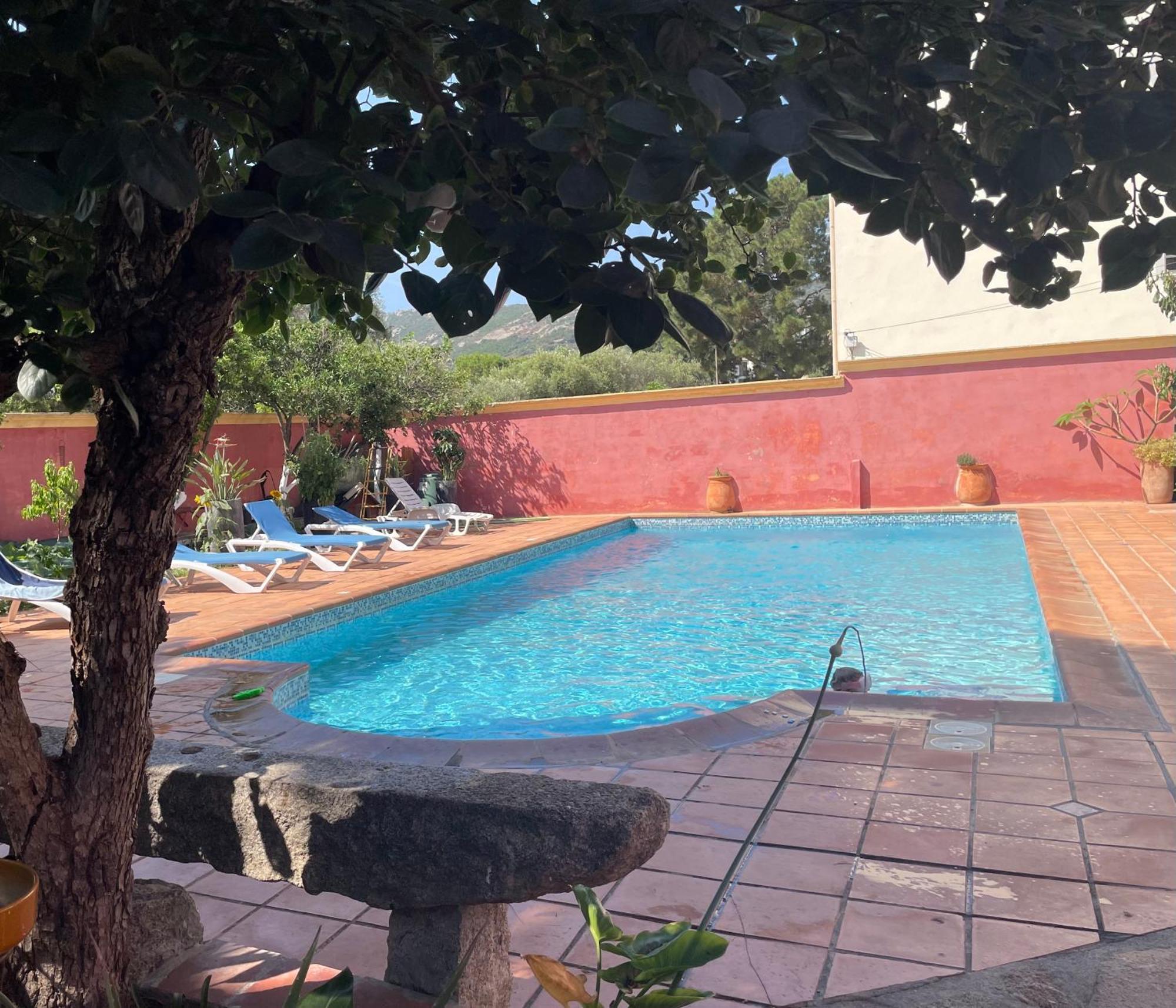 Residence Antonia Appartements Avec Piscine Commune - Centre Ville Calvi Calvi  Esterno foto