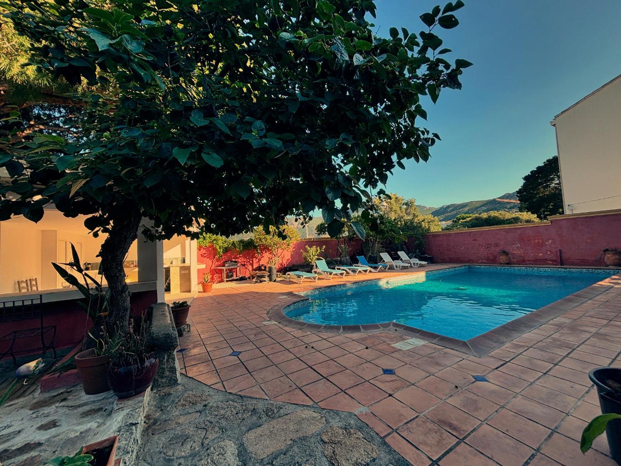 Residence Antonia Appartements Avec Piscine Commune - Centre Ville Calvi Calvi  Esterno foto